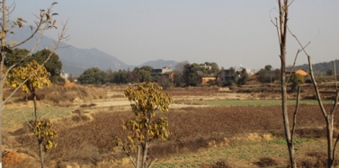 【江西】江西星子縣特色溫泉小鎮(zhèn)項(xiàng)目合同簽訂及前期考察順利結(jié)束