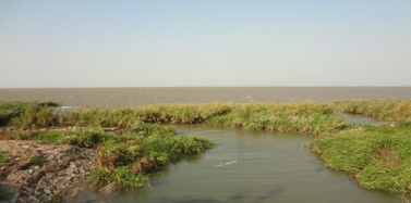 【浙江】浙江萬翔集團湖州長兜項目前期現(xiàn)場踏勘順利結(jié)束