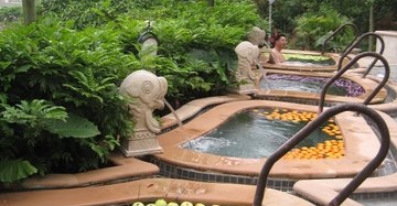 【深圳】艾肯弘揚體驗東部華僑城?礦泉SPA