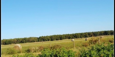 美國之行：Orlando