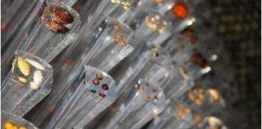 艾肯眼中看世博（三）