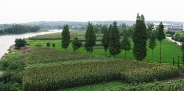 【四川】黃龍溪世界文化產(chǎn)業(yè)園項目前期考察順利結束