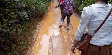 【艾肯】艾肯企業(yè)野奢農(nóng)莊集體出游活動圓滿舉辦