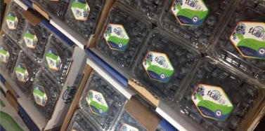 【艾肯】艾肯咨詢機構(gòu)端午節(jié)放假通知