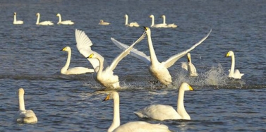 【河南】河南鄭州潮湖項(xiàng)目總體策劃合同簽訂及前期考察順利結(jié)束