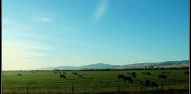 美國之行：San Francisco（三）