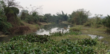 【四川】成都浪度家具創(chuàng)意產(chǎn)業(yè)園項目前期市場調(diào)研順利結(jié)束