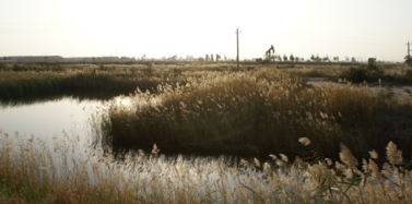 【山東】牽手東營 打造石油之城新名片