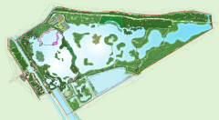 江蘇鹽城丹頂鶴海濱濕地